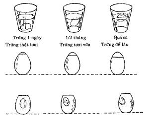 Cách chọn thực phẩm khi đi chợ sao cho đúng cách